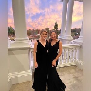 Novelle Amsle, long velvet dress size 0 my true size is a size 4